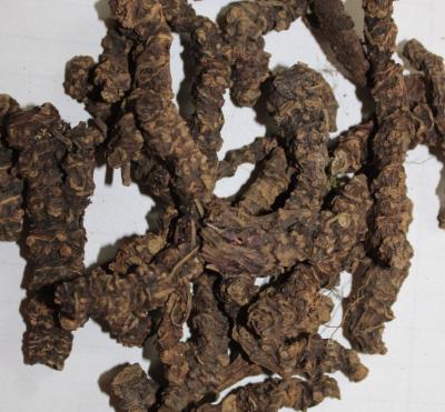 Sri Herbal Tagar - Valeriana Wallichii a Pooja Samagri for Ritual